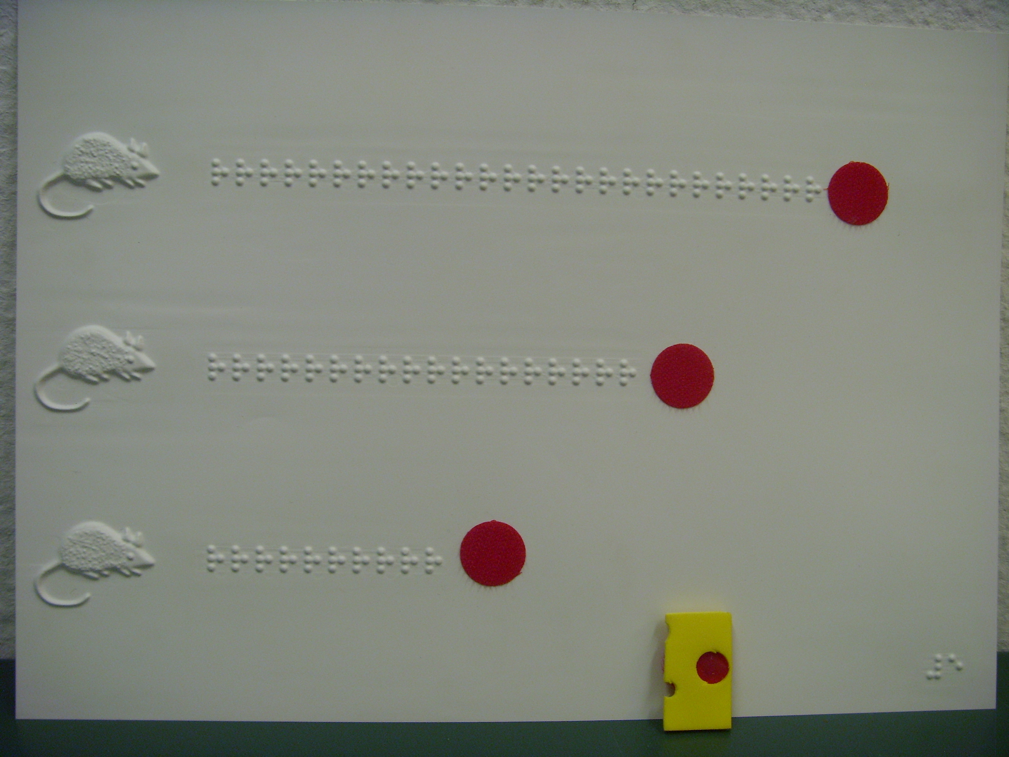 Blatt mit drei Wegen aus Braillezeichen und einem Käsestück. Die Startpunkte sind Mäuse.