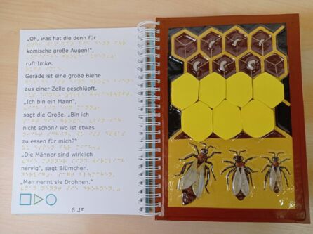 Buch-Doppelseite: Links der Text in Schwarz- und Brailleschrift und die Symbole für die Audiocodes; rechts eine Tastseite mit der Zellenstruktur einer Wabe und drei Bienenfiguren.