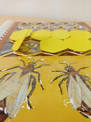 Detailaufnahme einer Tastseite: Zellenstruktur einer Wabe und zwei Bienenfiguren. Die unteren Zellenreihen haben gelbe Deckel und einer davon ist leicht angehoben, so dass die darunter versteckte Larve sichtbar wird.